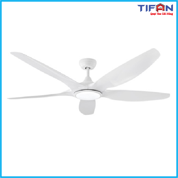 quat-tran-den-tifan-11