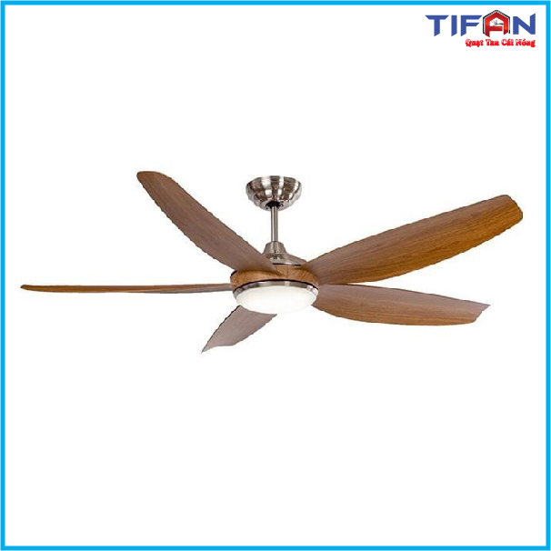 quat-tran-den-tifan-13