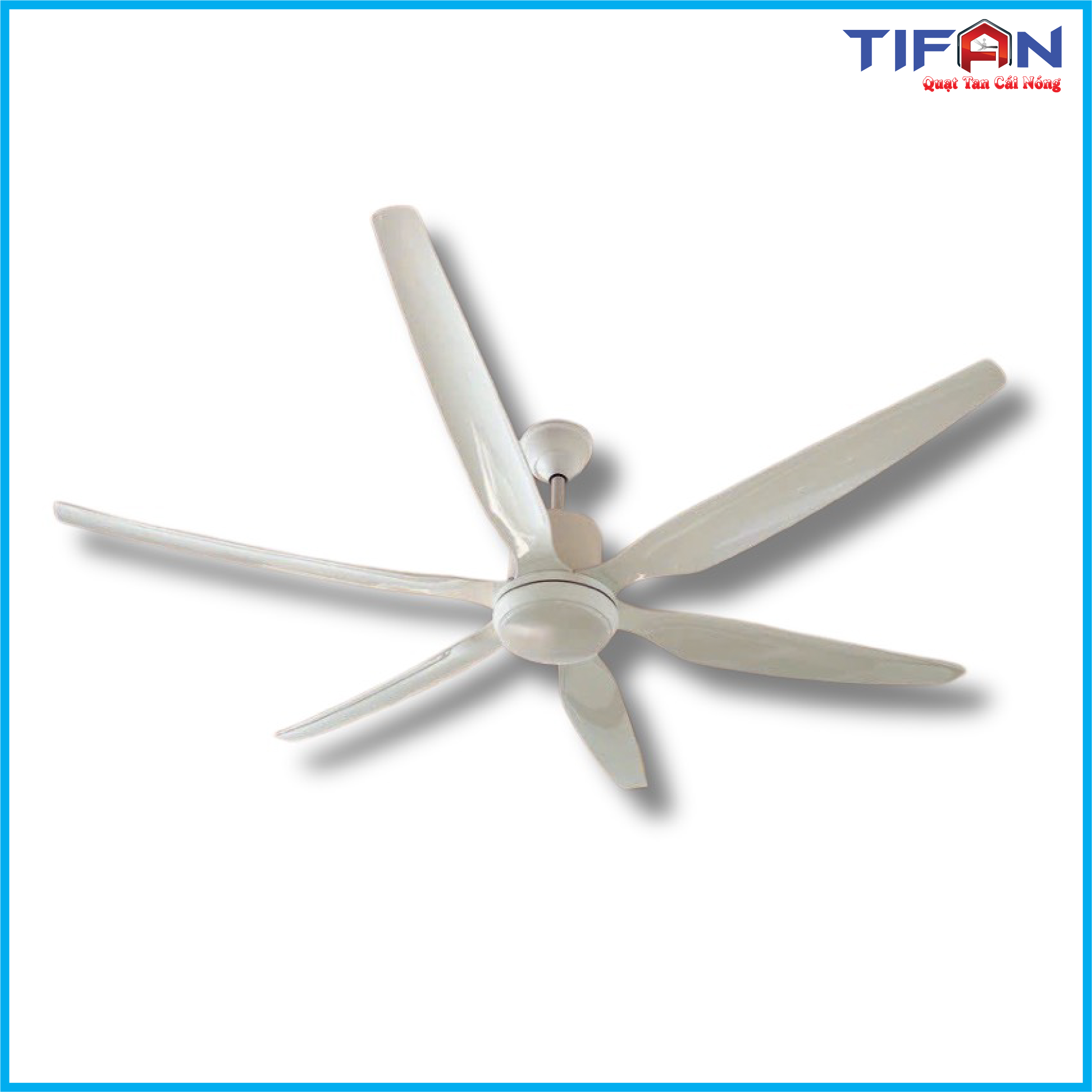 quat-tran-den-tifan-17