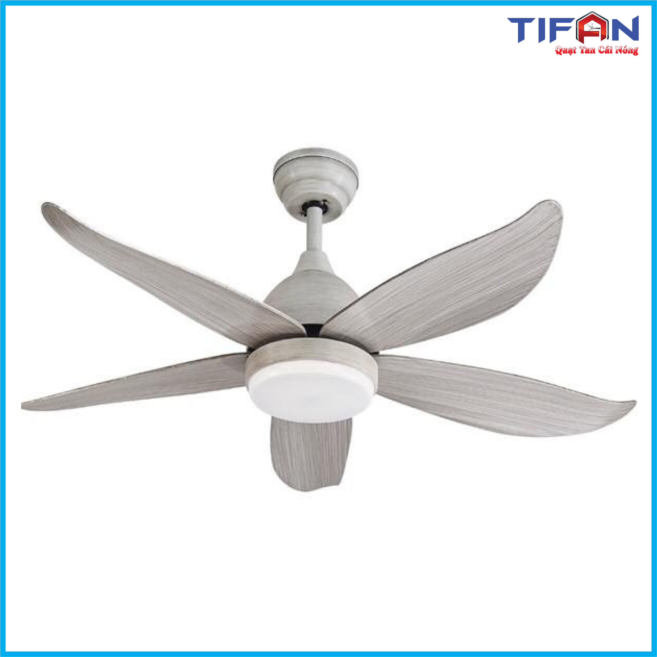 quat-tran-den-tifan-19