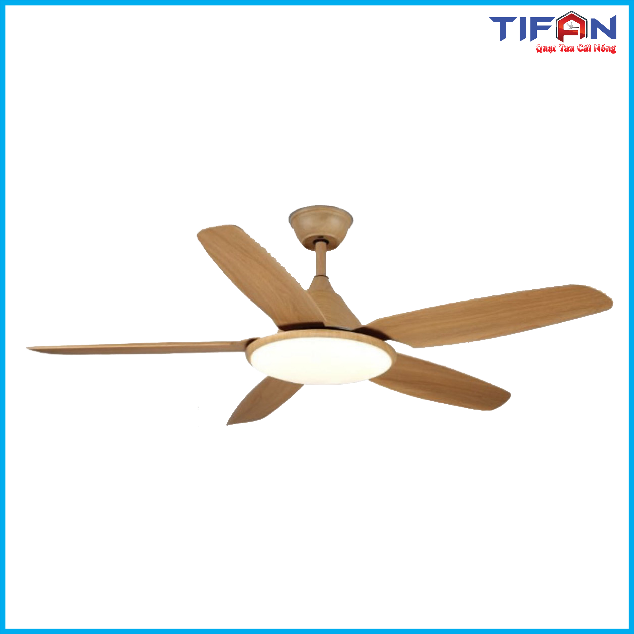 quat-tran-den-tifan-22