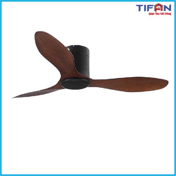 quat-tran-den-tifan-4
