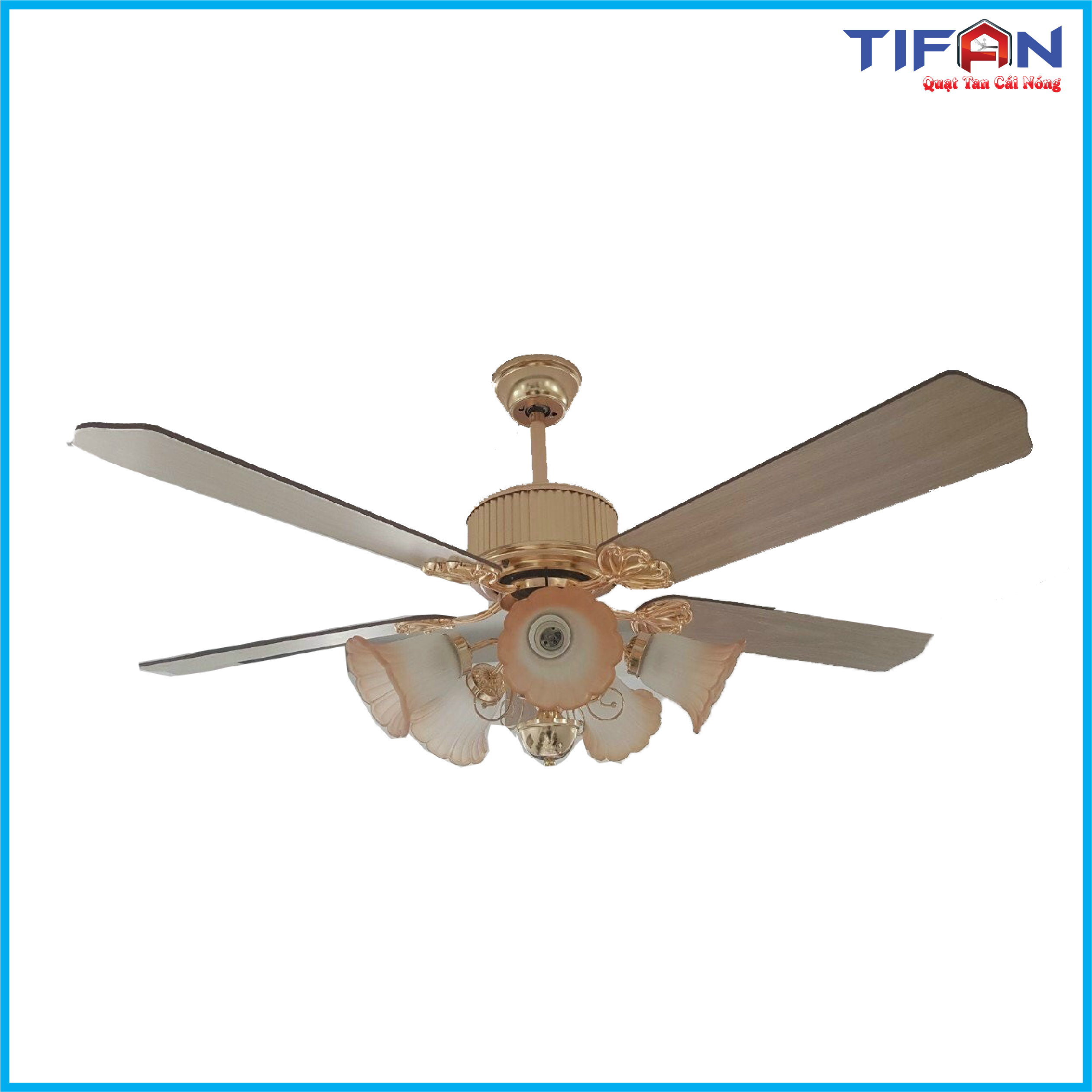quat-tran-den-tifan-43