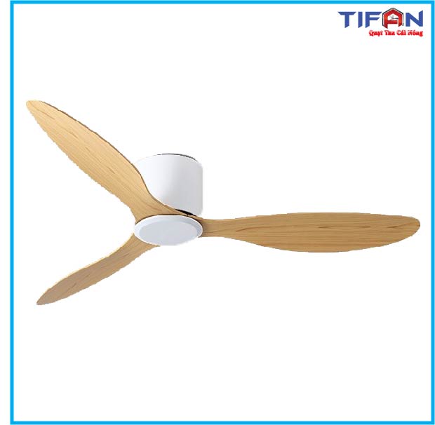 quat-tran-den-tifan-5